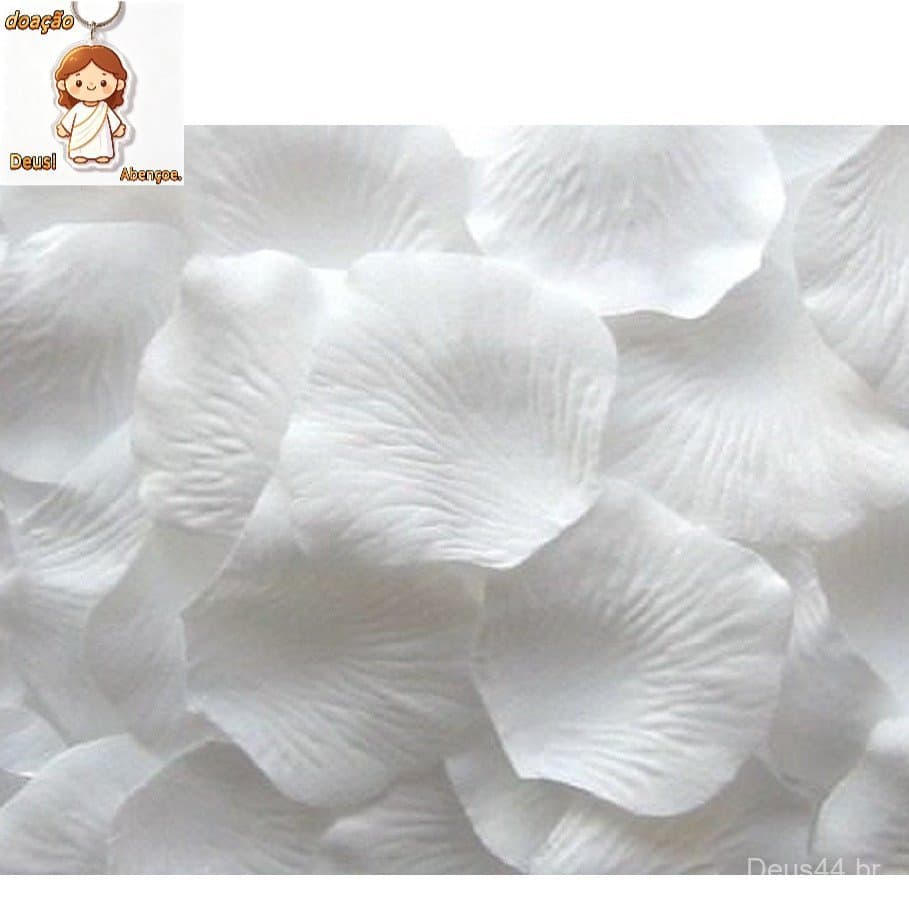 1000 Pétalas de Rosas Artificiais Brancas Decoração Casamento Festas
