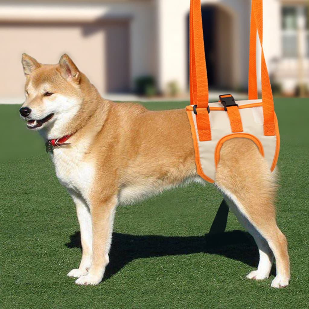 Cinto De Perna Para Animais De Estimação Ajustável Fivela Fixa Dupla Portátil Arnês De Engenharia Cachorro