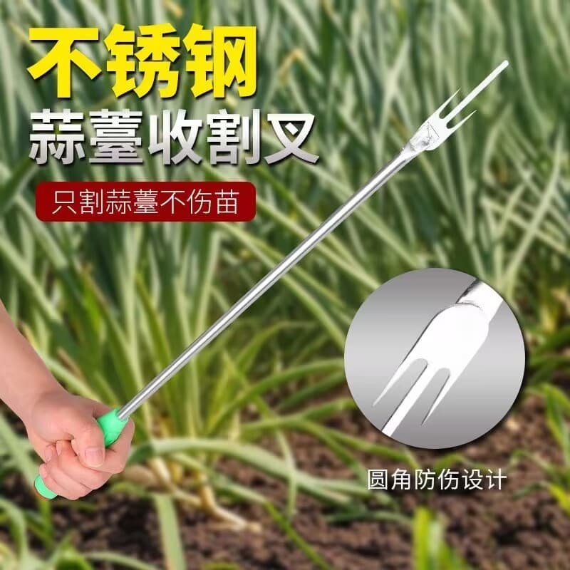 Alho musgo ferramenta útil faca de corte de alho agrícola puxando Peeling raspagem alho musgo ferramenta de corte domést