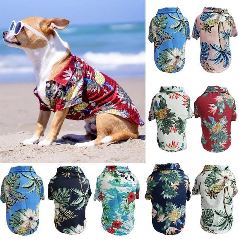 Roupas de Verão para Cães, Estilo Havaiano, Camisa de Manga Curta com Estampa de Coqueiro, Presente Fashion para Animais
