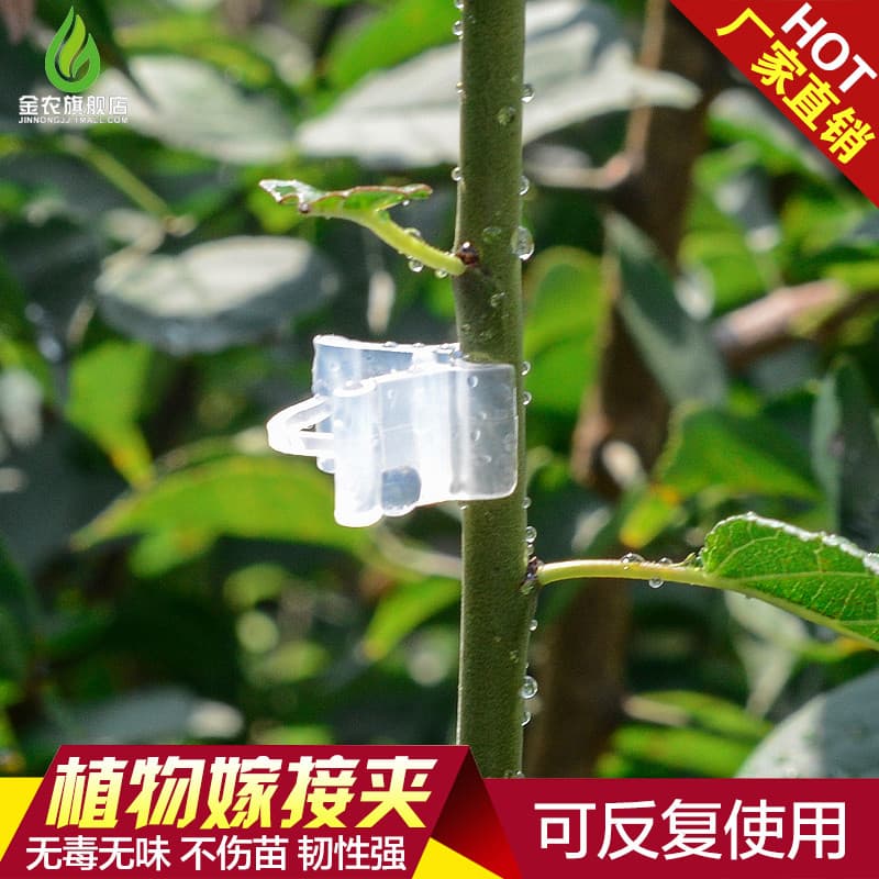 Jinnong macio não machuca mudas legumes plantas mudas enxertia clipes clipes especiais melancia pepino plástico garra Or
