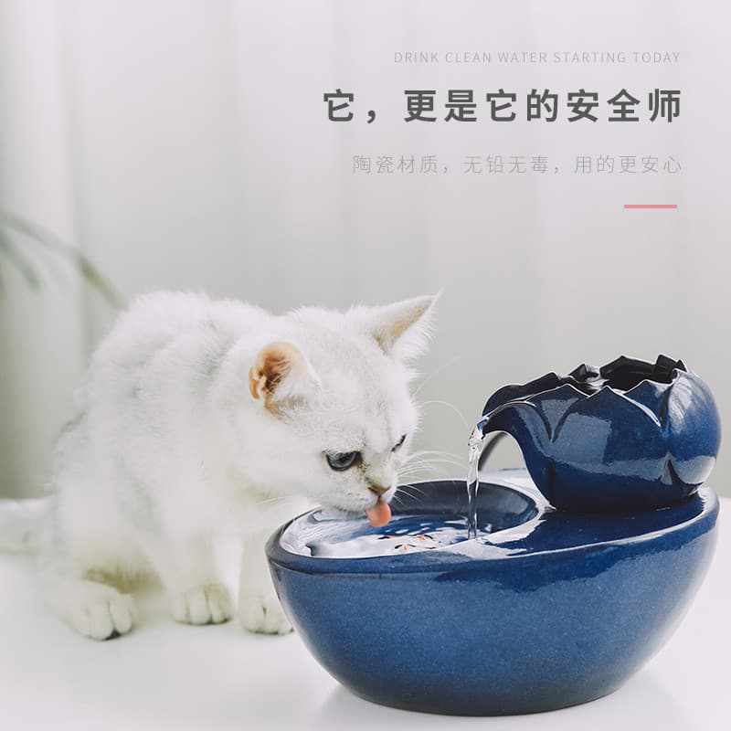 Dispensador de água para gatos, suprimentos para cães de estimação, fonte de água corrente, água viva, alimentação de ga