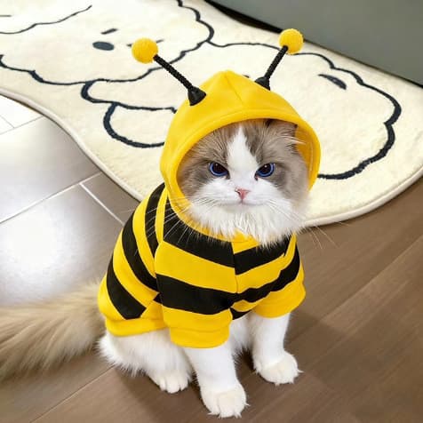 Moletom fofo para animais de estimação em formato de abelha, estilo outono e inverno, adequado para cães e gatos pequeno