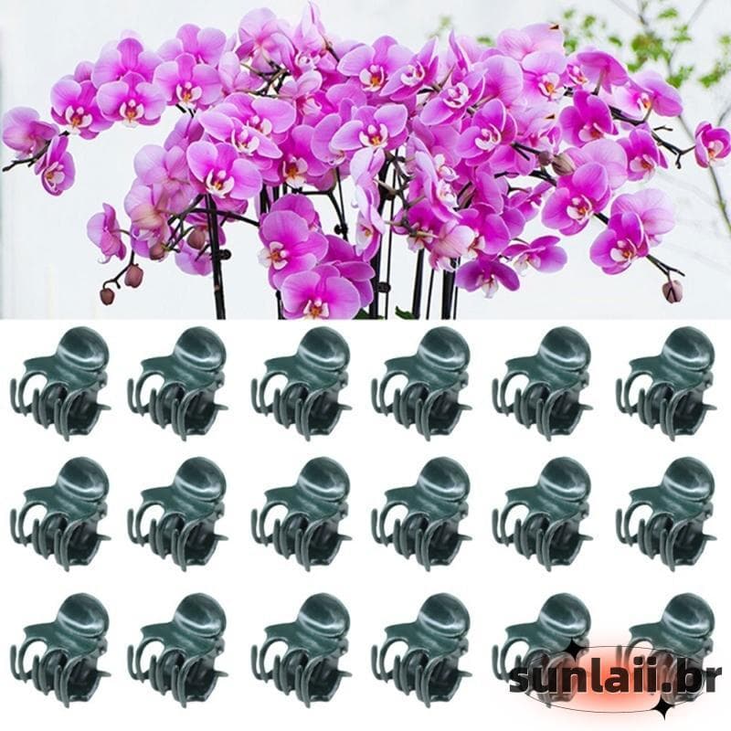 SUNLAII 20 100 Unidades Planta Clipes Orquídea Para Suporte Cultivo