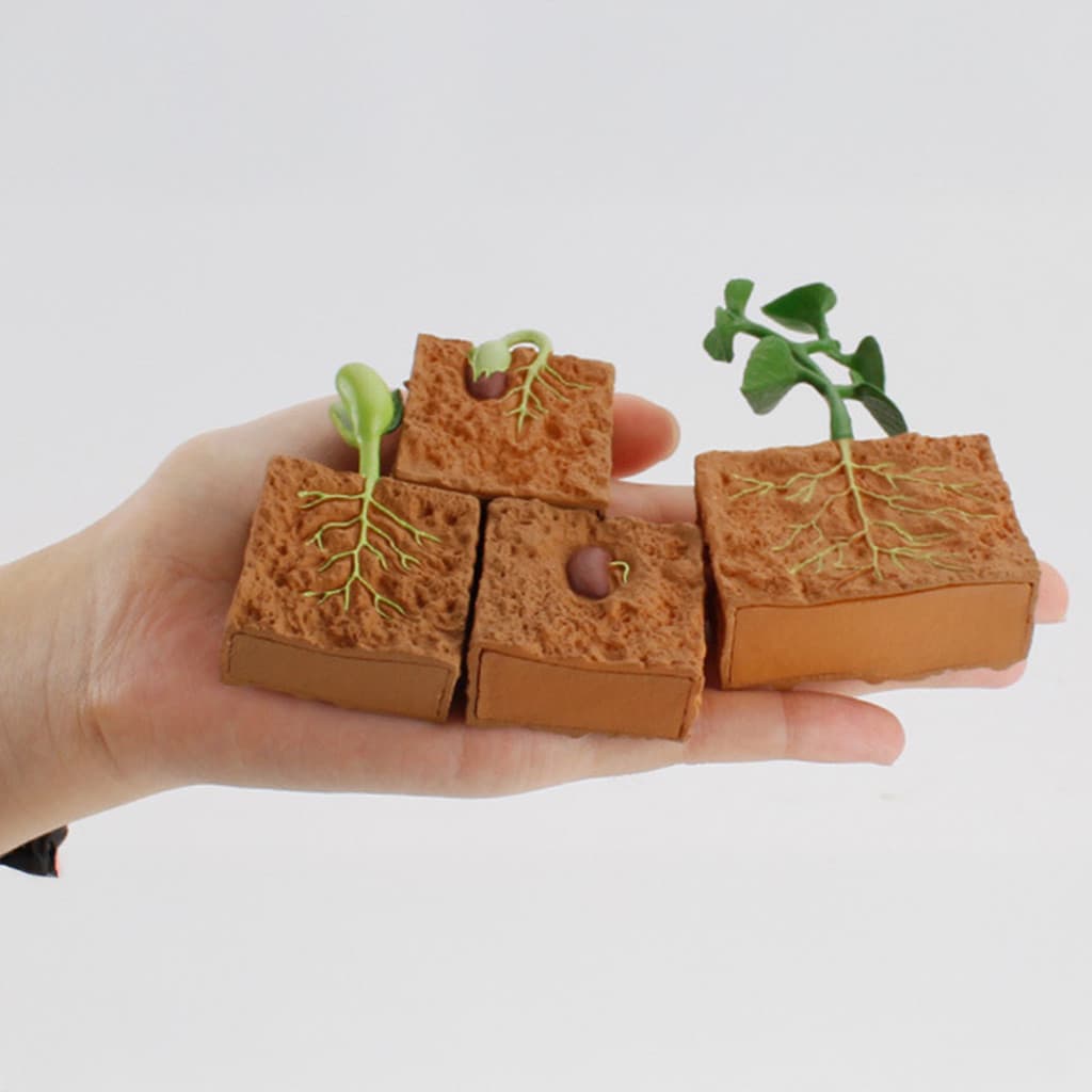 4 Pçs Ciclo De Vida Plantas Verdes Brinquedo Educativo Crescimento Plástico Falso Planta Ornamentos Para Crianças Menino