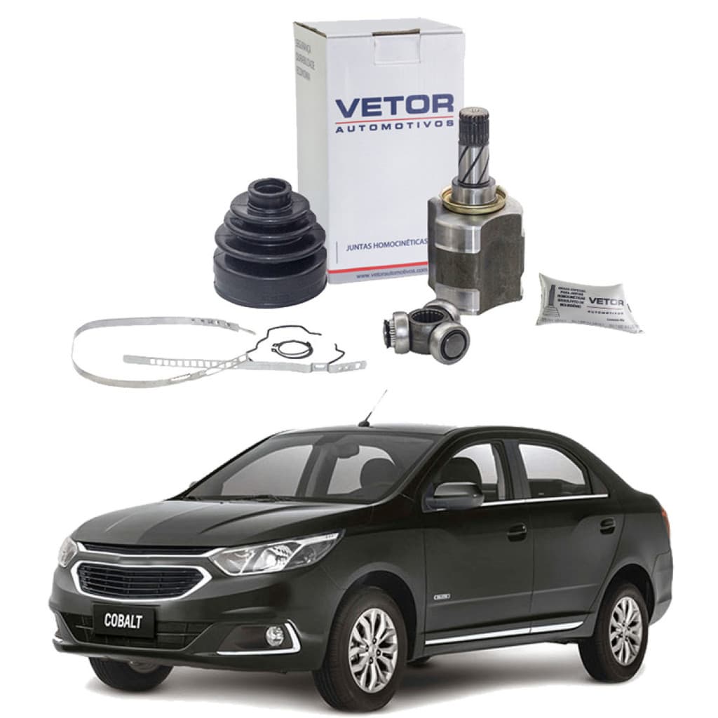 Tulipa Trizeta COBALT 2012 A 2023 VT5251