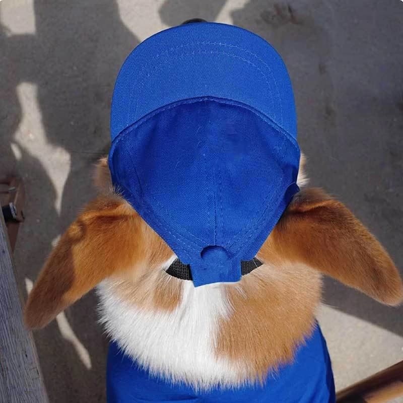 Boné de sol para cachorro com orelhas expostas Boné de beisebol Shiba Inu Corgi Boné ajustável para passeio de verão Cha