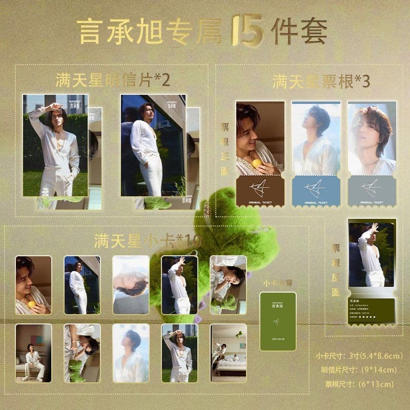 Venda quente Novo produto Yan Chengxu 520 Love Fashion Conjunto de 15 peças Gypsophila Photocard Ticket Stub Cartão post