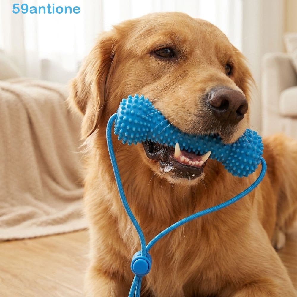 Brinquedo De Limpeza De Dentes De Animais De Estimação ANTIONE , Com Bastão De Dentição De Cachorro Anti-Asfixia De Cord