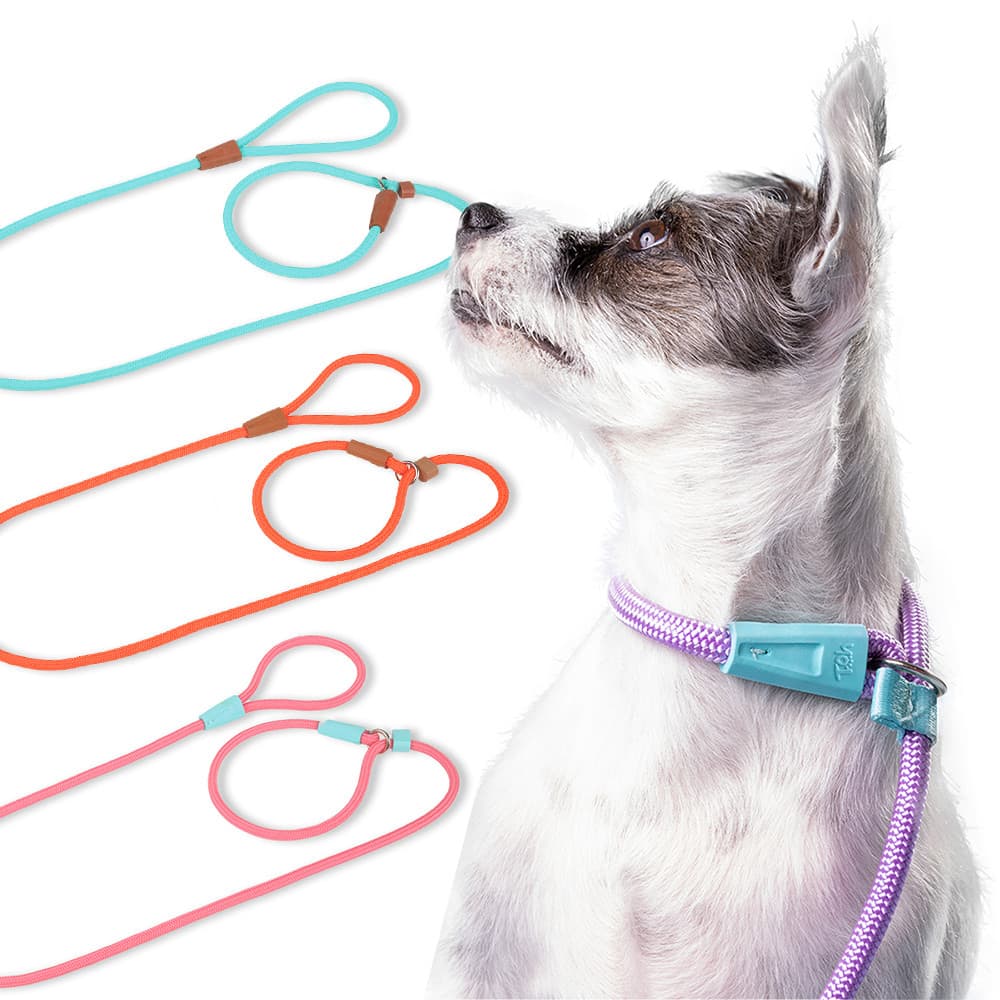 Guia unificada para Cachorro 1.10 metros Coleira Cabo Nautico 8mm Ajustável com guia deslizante Alta Resistência