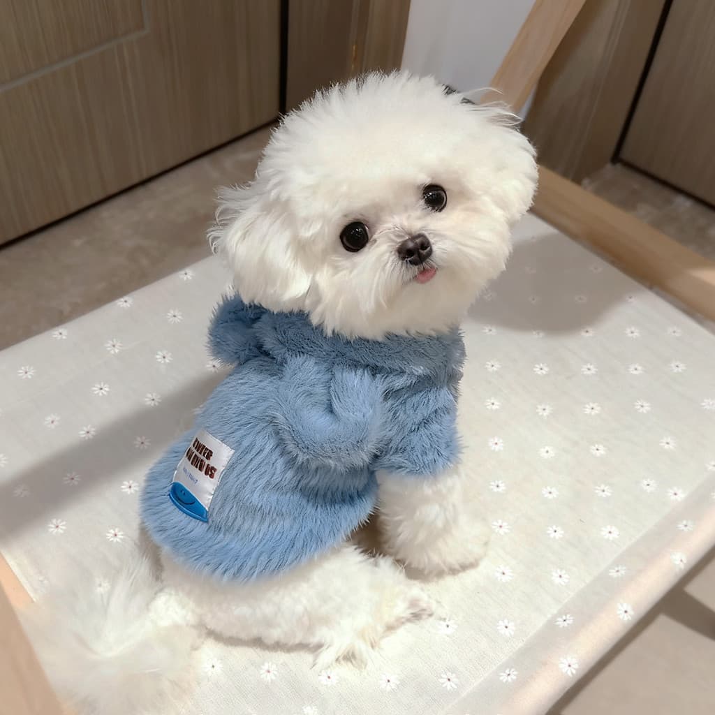Roupas para cães inverno novo estilo quente Bichon Teddy Pomeranian pequeno cão casaco de algodão gato Anti-fiapos molet