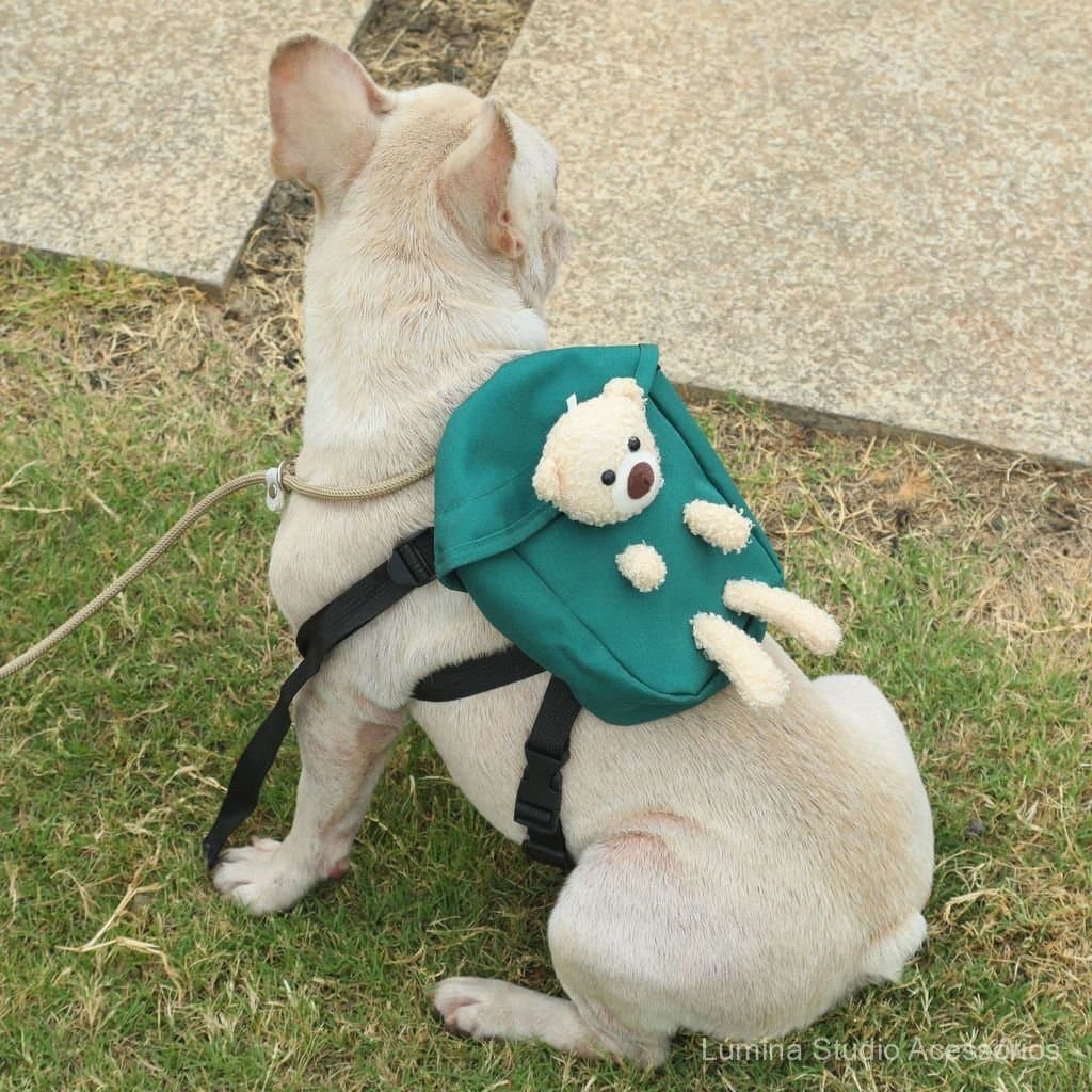 Mochila para cães de estimação, mochila para cães, bolsa de viagem para gatos, bolsa para tartarugas, bolsa para petisco