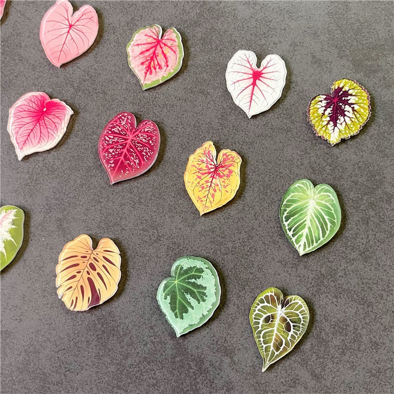 Adesivos de plantas begônia de outono, decorações de folhas verdes, fitas coloridas para animar as crianças, ímãs de gel
