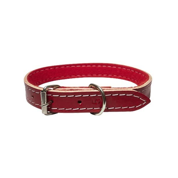 Coleira de Couro para Cães - Coleira Couro Forrado para Cachorro Cor Vermelha.