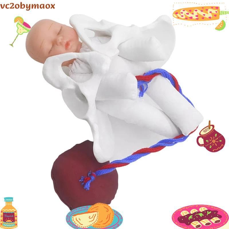 Novo Modelo De Pelve Feminina Parto Para Educação Científica Ensino Estudo Feto Cordão Umbilical Placenta vc2obymaox.br