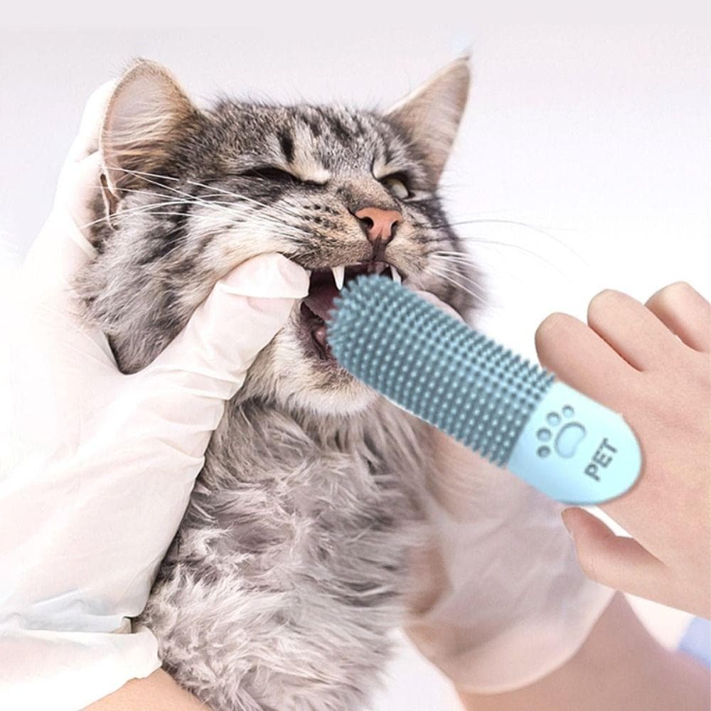 Pontas Dos Dedos Para Limpeza De Dentes De Animais De Estimação , Escovas Não Tóxicas De Silicone Duráveis 360 ° Boca De
