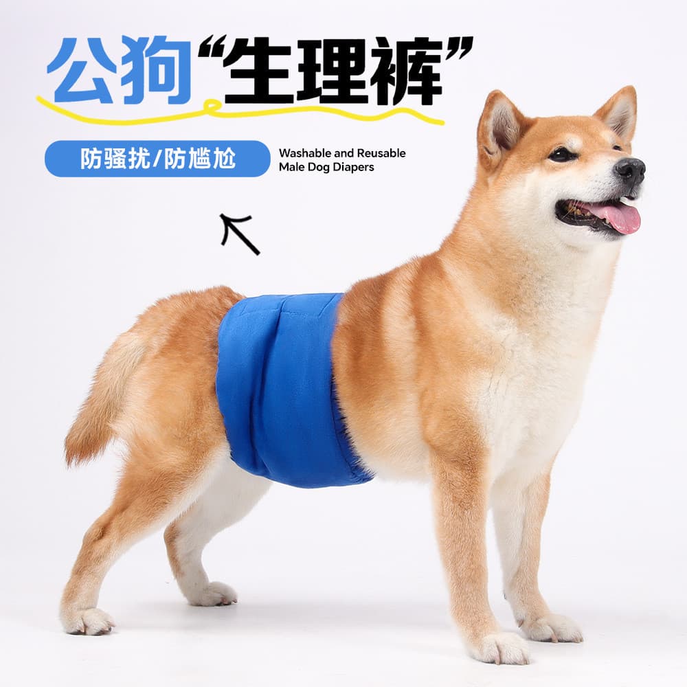 Shiba Inu Corgi Akita Dog Calças Fisiológicas Anti-assédio Cortesia com Cães Pequenos Médios Grandes Calças Sanitárias L
