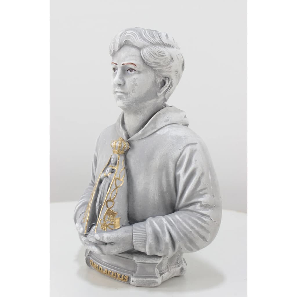 Carlo Acutis Gesso 20 Cm C/ Nossa Senhora Aparecida