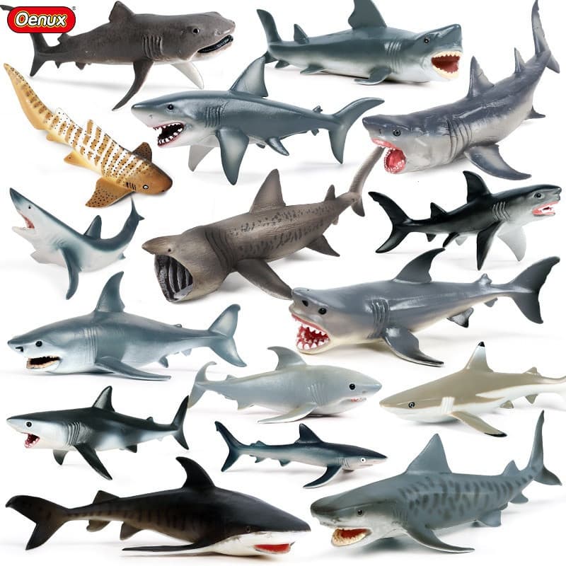 Modelos de vida marinha: Tubarão-branco, tubarão espiral, modelo móvel de megalodonte, modelo educacional de animal MM0W