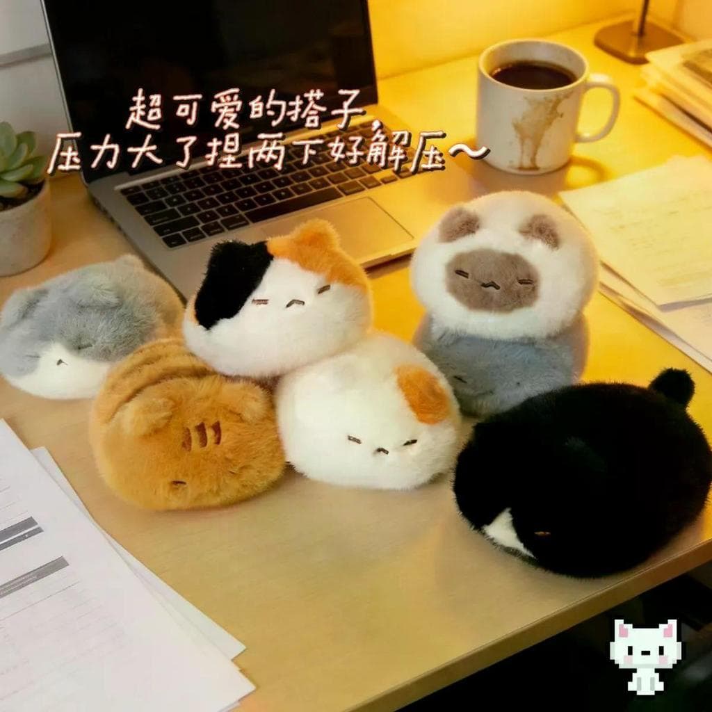 Novo pão bonito Meow brinquedo de pelúcia boneca descompressão gatinho boneca cura palma bebê gato presente namorada2026