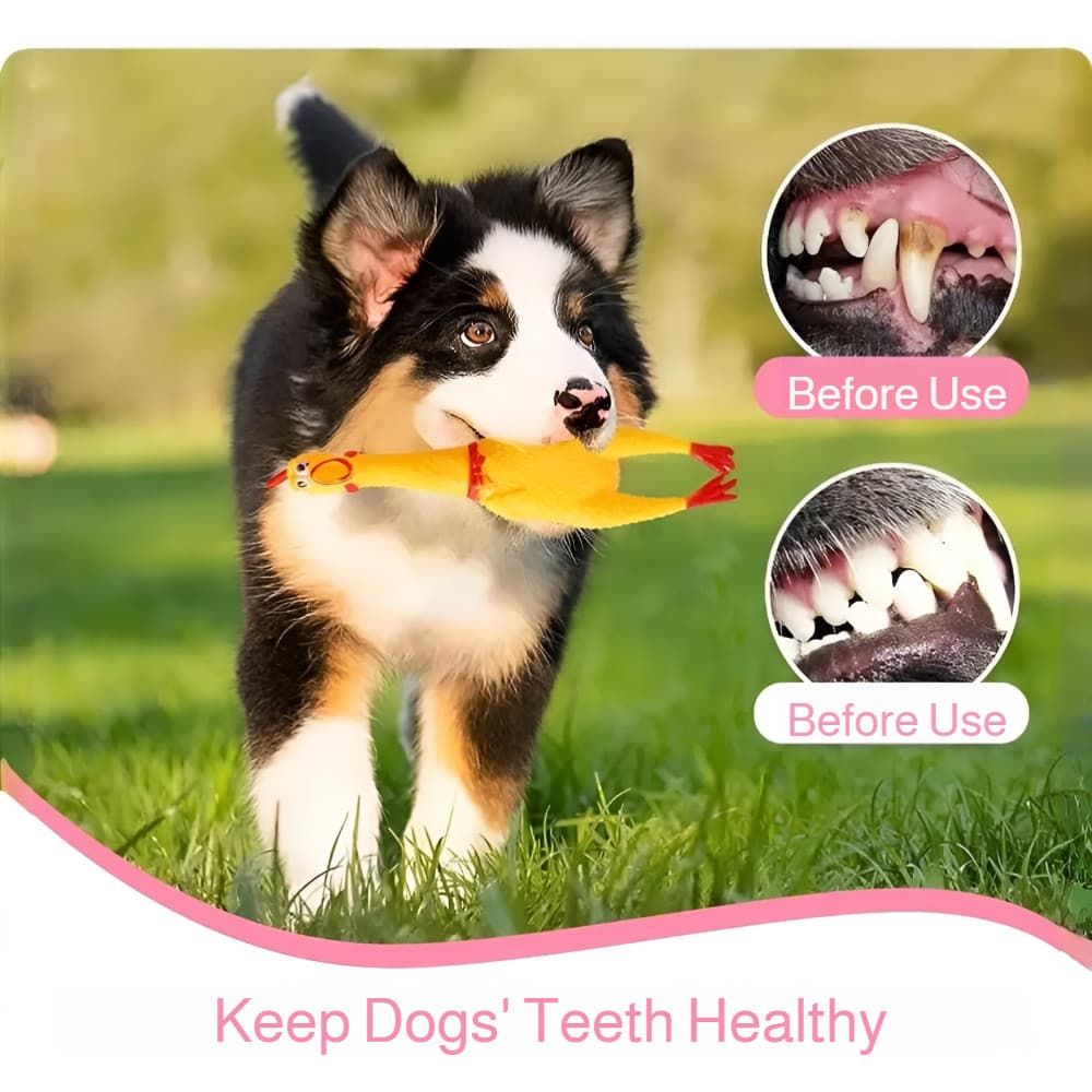 [Durável E Divertido] Kit De Brinquedos Para Cachorro/Brinquedo Sonoro/Brinquedo Interativo Para Treino E Diversão Brinq