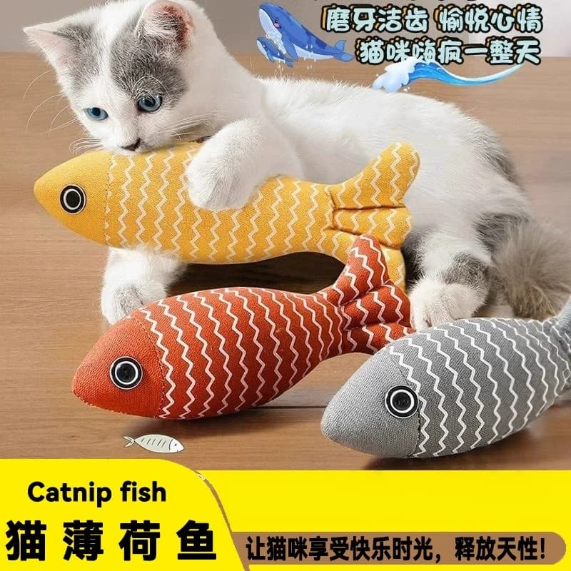 Suprimentos para gatos