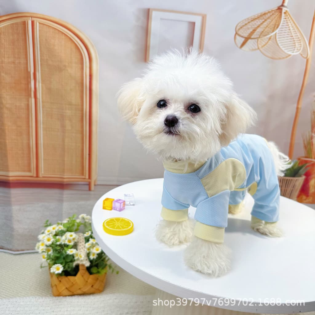 Roupas para animais de estimação roupas para cães resfriamento de seda gelo resfriamento pet malha de seda gelo roupas p