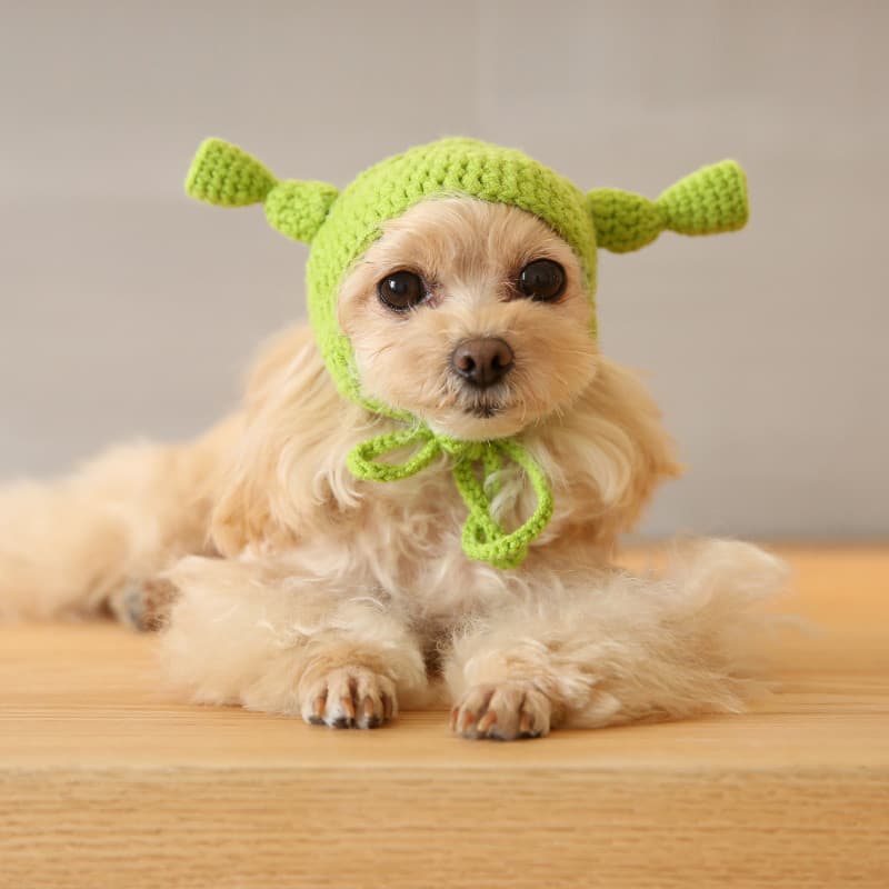 Chapéu de lago verde para animais de estimação, lã engraçada, tricotado à mão, inchado, jovem influenciador, cachorro, g