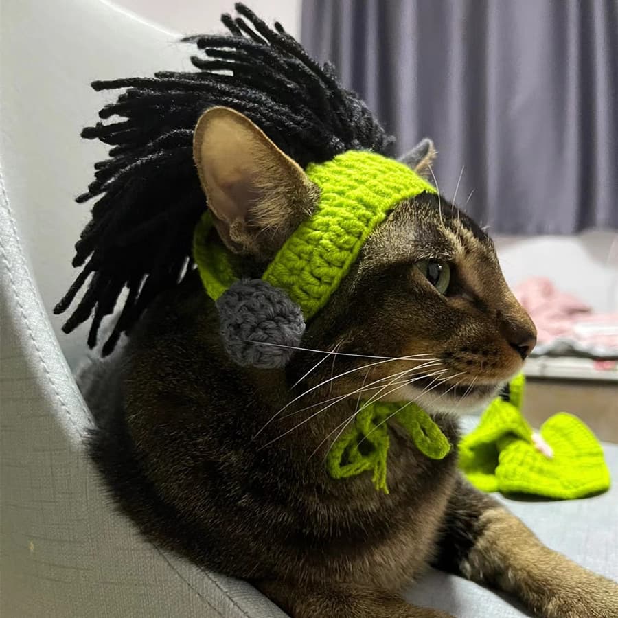Chapéu de gato esfinge chapelaria sem pêlos gato Punk explosão cabeça alemão engraçado cão de estimação chapelaria
