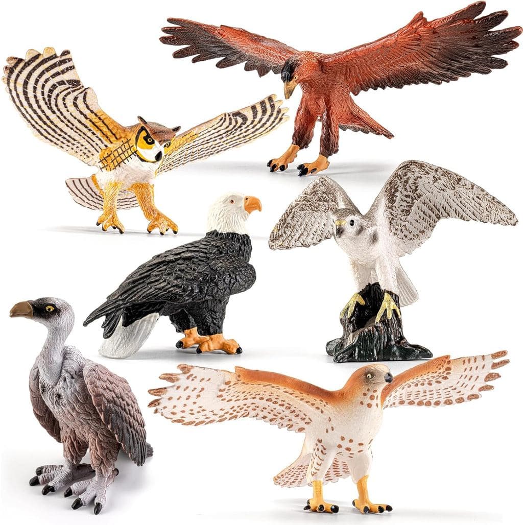 6 peças de figuras de aves de rapa de 6 polegadas, incluindo figuras de falcão, águia, coruja, gaio e abutre, modelos de