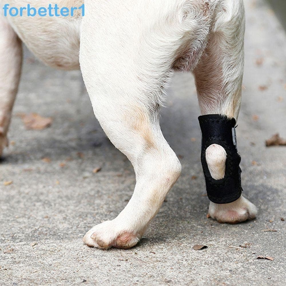 Cinta De Suporte Para Cães FORBETTER , 1 Peça , Material De Mergulho , Capa Protetora Pequenos , Médios E Grandes