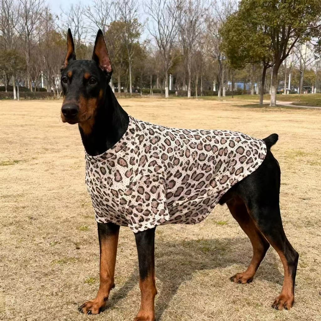 Colete Cachorro Respirável Proteção Solar Fresco Grande Médio