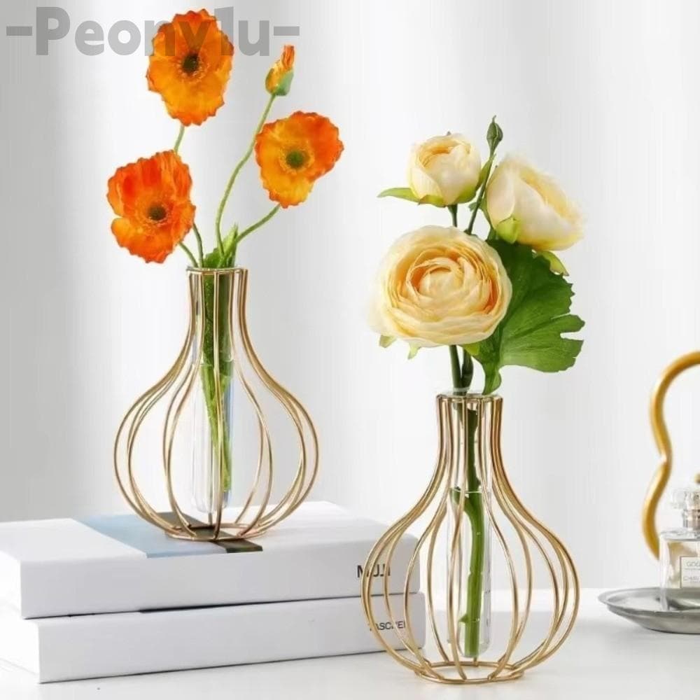 Vaso De Tubo De Ensaio Peônia , Estrutura De Metal De Ferro Removível Hidropônico Decorativo Oca
