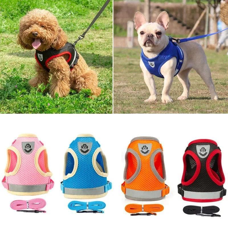 Alça De Colete Para Cachorro , Conjunto De Corda De Tração De 1.2m , Com Respirável Reflexiva Ajustável , Adequada Cães