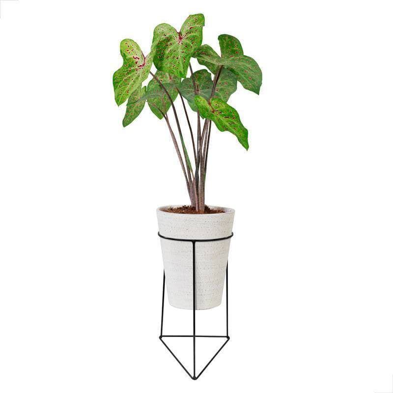 SUPORTE VASO TRIANGULAR PEQUENO CHÃO PRETO