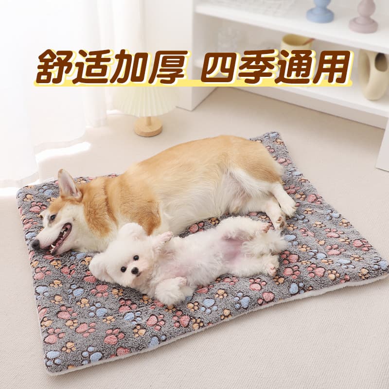Tapete para animais de estimação de pelúcia Coral velo filhote de cachorro dormindo quente Corgi Bichon Pomeranian inver