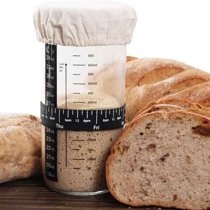 Com escala de vidro selado frasco fermento semente Petri prato levedura Natural Lupin semente fermentação jar garrafa Ca