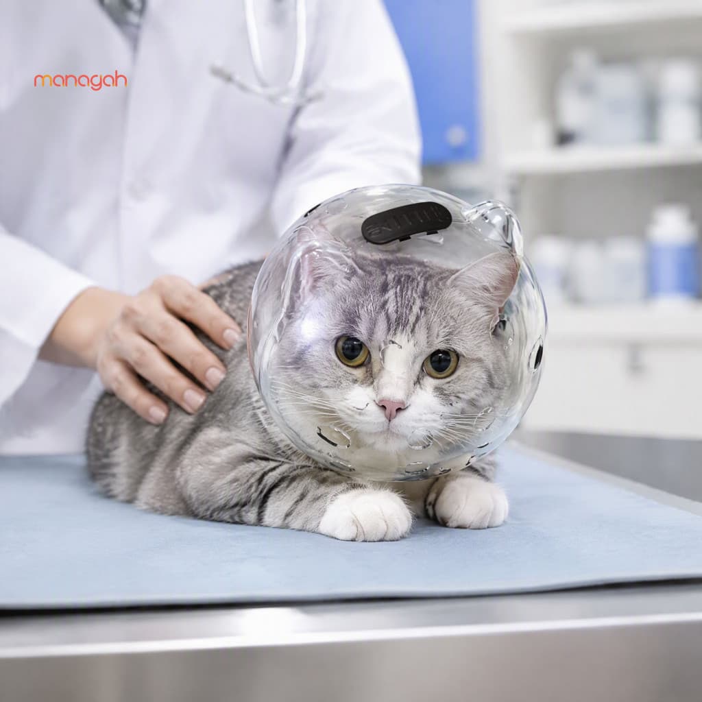 Fantasia De Astronauta Para Animais De Estimação , Capacete De Gato Anti-Mordida Respirável , Máscara Protetora Transpar