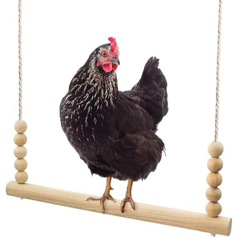Brinquedo De Balanço De Frango , Balanços De Pássaros De Madeira Natural Com Contas , Acessórios De Galinheiro Suporte P
