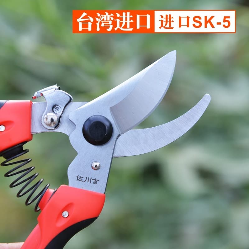 Venda quente Taiwan Sagawa Yoshi Tesouras de poda Tesouras manuais Tesouras de jardinagem Tesouras de árvores frutíferas