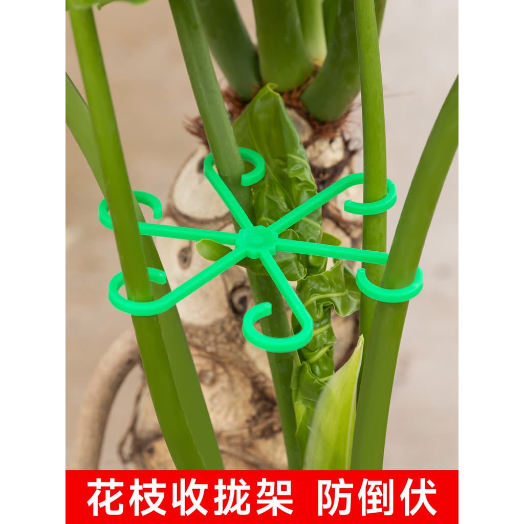 Tartaruga volta imitação de bambu invertido suporte suporte jardinagem flor planta verde primavera pena hidropônico fixa