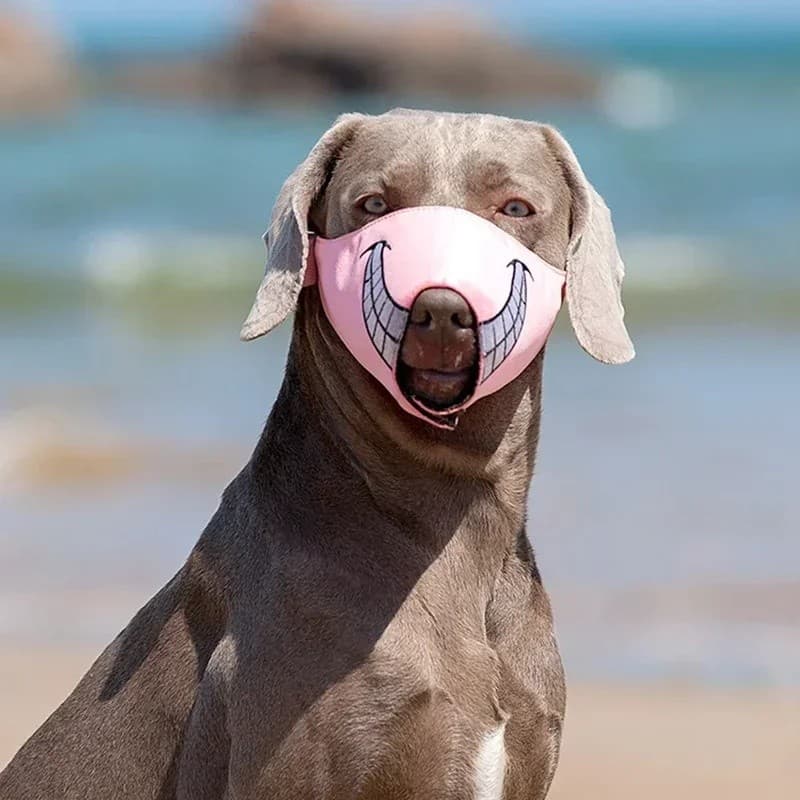 Focinheira Divertida de Desenho Animado para Animais de Estimação, Barreira Ajustável para Cães, Protetor de Boca Macio