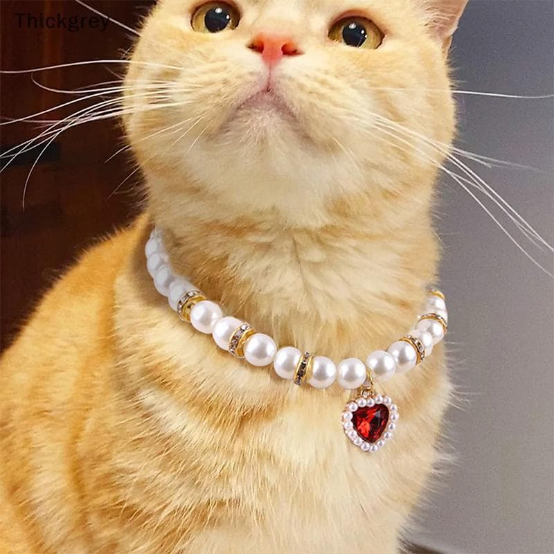 thickgrey Moda Ajustável Animal De Estimação Pérola Nelace Gato Cão Colar Festa De Casamento Acessórios De Jóias Para An