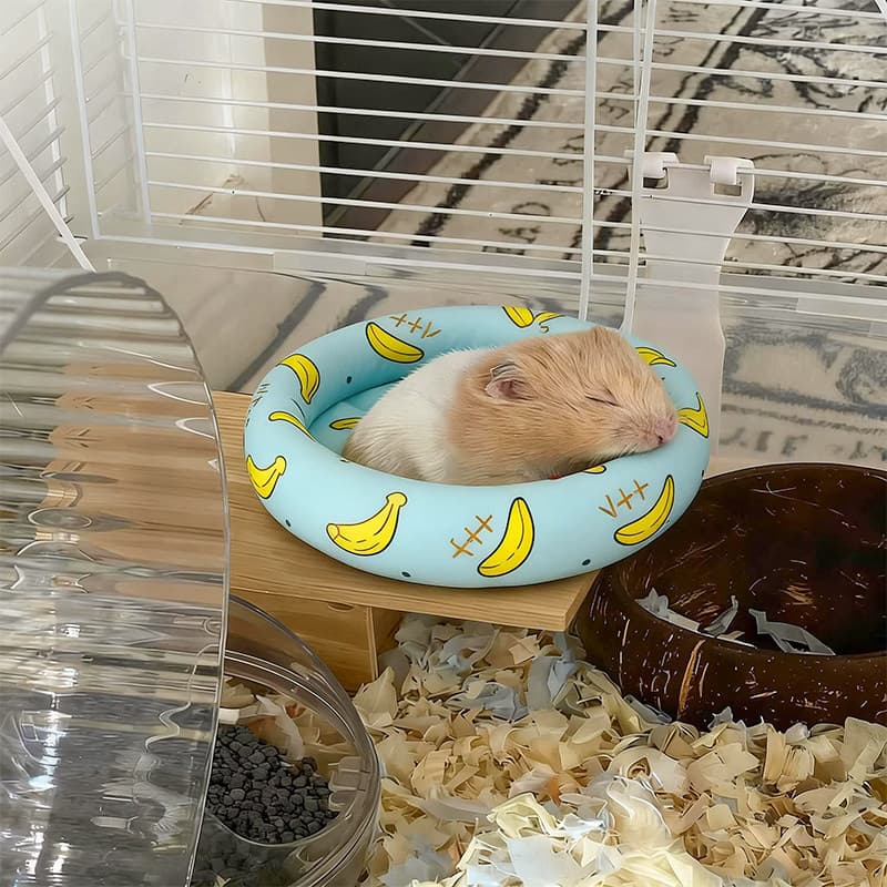 Tapete de ninho de Hamster, tapete legal de seda gelada, urso dourado, cobaia, planador de mel, ninho de dormir especial
