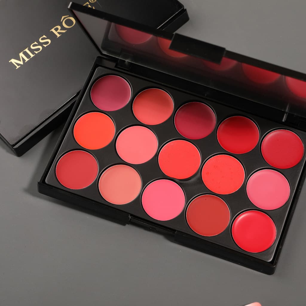 Multicolor 15 cores paleta de batom não-desvanecimento Photo Studio maquiagem artista dedicado portátil crianças desempe