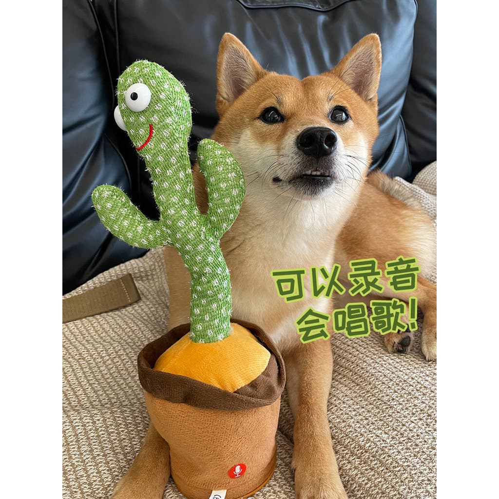 Cactus Pet voz brinquedo gravação aprender língua cantando dança luminosa brinquedo do cão provocando gato gato brinqued