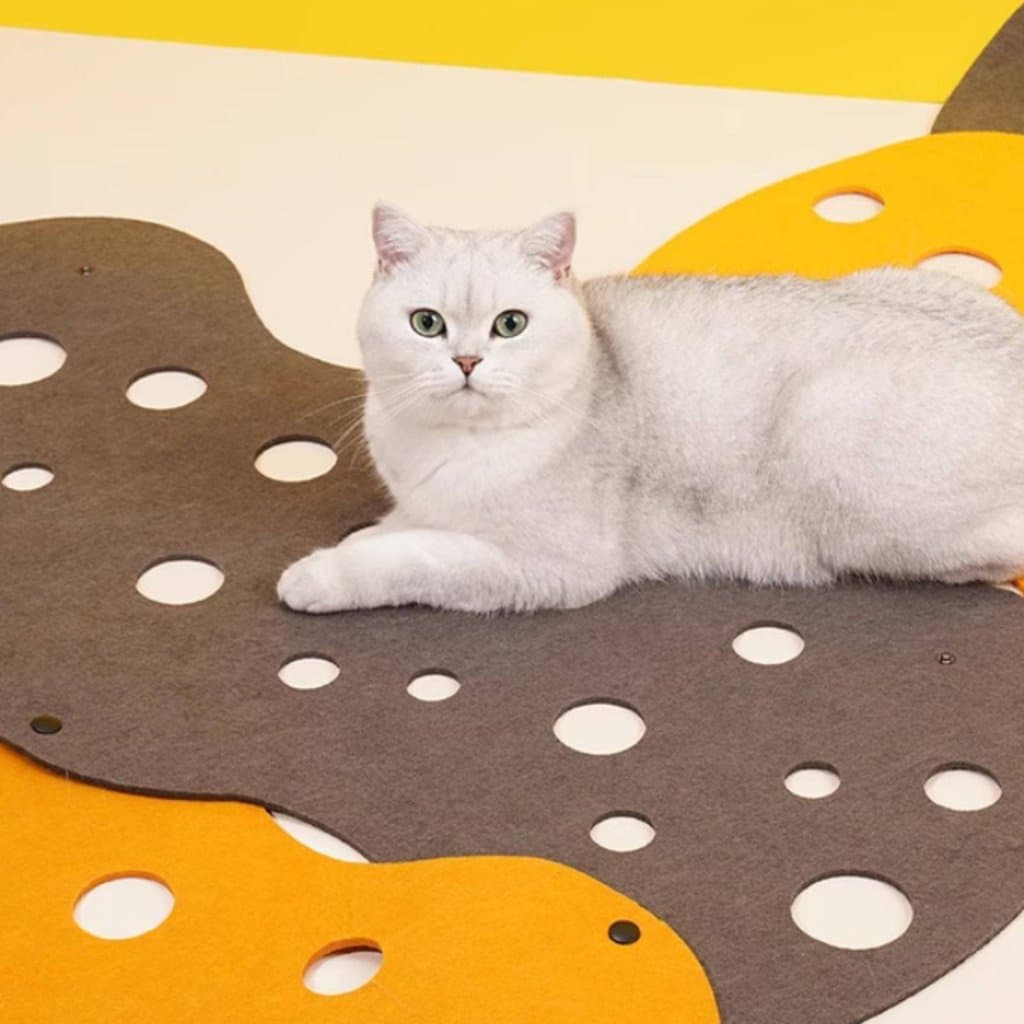 Fácil De Montar Túnel De Labirinto Felino Dobrável Placa De Risco De Longa Duração