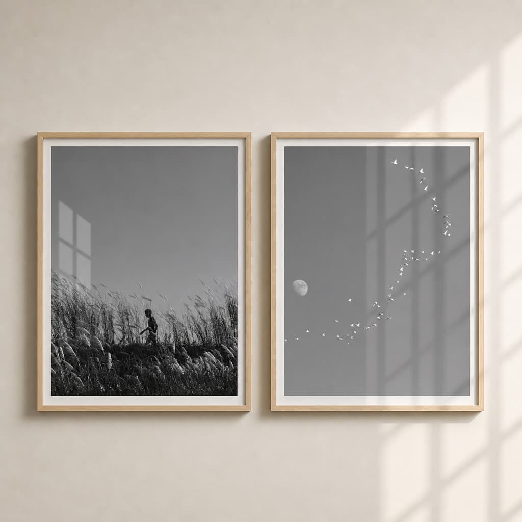 Duo Quadros Campo Preto e Branco Moderno Moldura e Vidro
