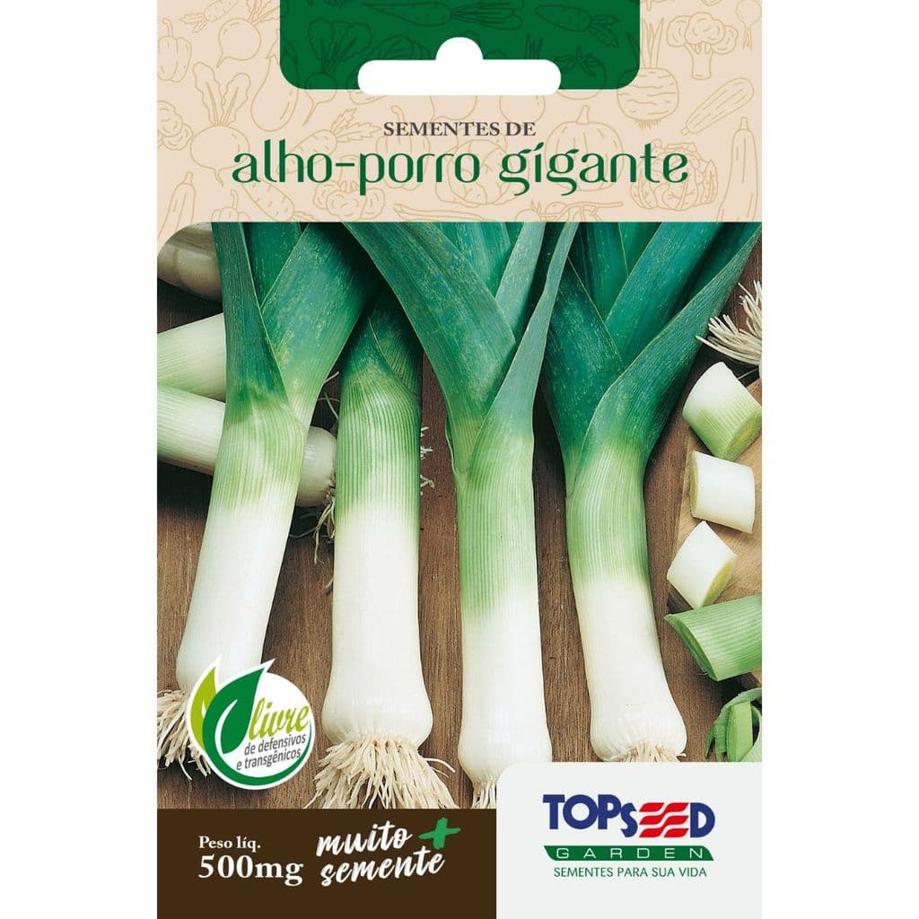 Sementes de Alho-Porro Gigante Topseed Tradicional Allium porrum Talo 21cm Horta Vaso