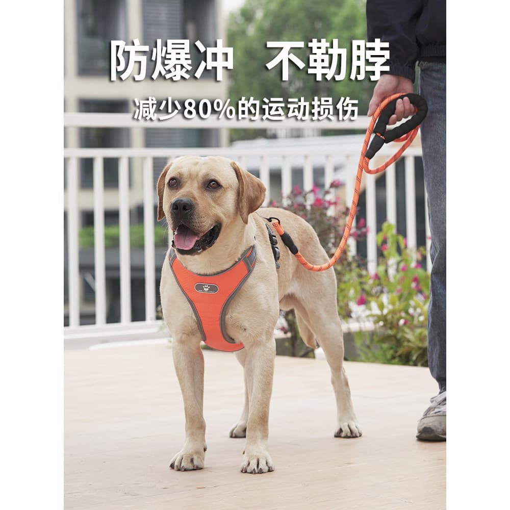 Coleira para cachorro tipo colete médio grande cão Labrador Golden Retriever filhote de cachorro cinta peitoral trela pa